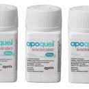 해담동물의료센터 이미지