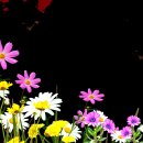 아름다운 꽃 일러스트 배경 이미지 이미지