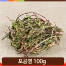 민들레마켓