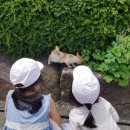 주동마을회관 이미지