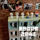 5347 | 속초 빵집 맛집 불탄감자빵 본점 후기｜아이랑 체험카페 ‘무스토이’가 있는 곳