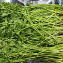 대구축산농협 축산물프라자 동대구IC점 이미지