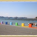 새부산카 이미지