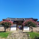 배롱나무거리 | 안동 갈만한 곳 추천 배롱나무 명소 병산서원