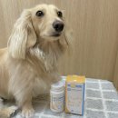 임프로동물병원 이미지