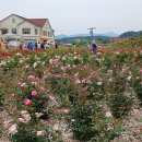 임실치즈마을 이미지