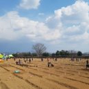 희망농장 이미지