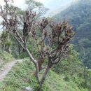 돌산가축 이미지