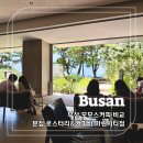 빡벳부산영도오션시티점 | 부산 모모스커피 비교! 본점 / 로스터리&커피바 / 마린시티점 시그니처 메뉴