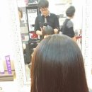 마젤헤어 - 춘천시 | 마젤헤어