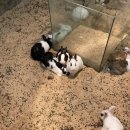 여우사냥 PC방 | 데이트-부산 캐니언파크