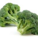 세라톤보청기 이미지