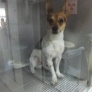 파란종합 동물병원 이미지