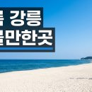 관동수산 | 여름 강릉 여행 코스, 경포·안목·정동진 바다부터 커피거리까지 하루 동선 짜는 법 총정리