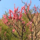 신답역(2) 이미지