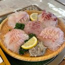 서대전역(1층) 공중화장실 | 석화 철 재방문 후기! 대전 중구 맛집 [어부장] 숙성회 전문 오류동횟집 추천