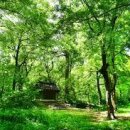 바람결-시간의 흐름 이미지