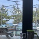 강일목장 | [강릉] 피톤치드 뿜뿜🌲🌲대관령솔내음오토캠핑장