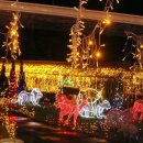 젖소의 만찬 이미지