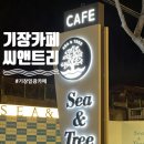 오션뷰 기막히는 대형카페 기장일광카페 씨앤트리 후기