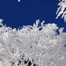 동화속이야기 이미지