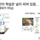 씨에이티 이미지
