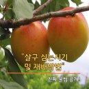 풍성농약사 이미지