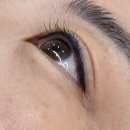 JH라피네 | 서울 강남 압구정역 속눈썹펌 라피네 뷰티스튜디오 후기