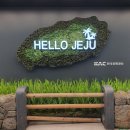 오시리아 헬로시티 | [제주공항 근처 숙소] &#39;어반 스테이 제주 연동&#39; 2박 3일 숙박 후기 : urbanstay jeju yeondong