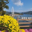 제264차 2025년 10월정기산행 전북정읍 구절초축제장,임실 옥정호붕어섬트레킹 이미지