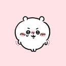 호다닭 네이버블로그