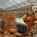 이하영농장 이미지