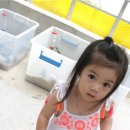 지민한우농장 | 강릉 대관령 아기동물목장 (평창아기동물농장 이전)