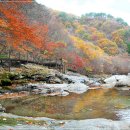 ♣11/4(토)지리산 노고단 피아골 붉은 단풍산행 이미지