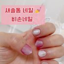 비손네일 네이버블로그