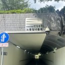 240708-0712 역마살이 되 (1) - 사암당 자침 캠프