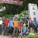 청조14산악 영도 태종대 수국 감상트레킹 이미지