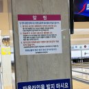 성오볼링장 이미지