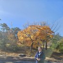 비룡폭포.설악산 권금성 이미지