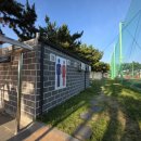 을숙도 리틀야구장 이미지