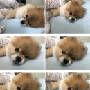 김포양지설렁탕 이미지