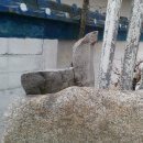 오대민박 이미지