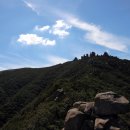 기쁨고속관광 이미지