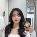 [연희동] 산호맨숀 사진촬영 후 연남다방 카페투어 솔직후기