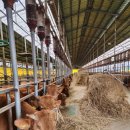 부농축산 이미지