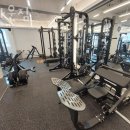 브라운 짐 이미지