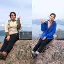 엘바디핏 이미지