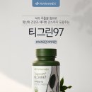 티그린 이미지