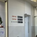 피그헬스동물병원 | [진주 해뜨는 동물병원] 5개월 수컷 강아지 중성화 • 탈장 수술 후기