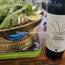 삐노(PINO) 이미지